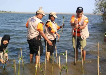Peserta EDT 2019 Tanam Ratusan Mangrove di Pantai Baros Bantul