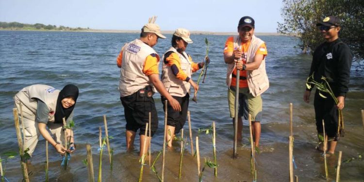 Peserta EDT 2019 Tanam Ratusan Mangrove di Pantai Baros Bantul