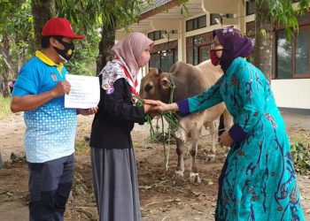 Hari Raya Idul Adha 1441 H, Kwarda DIY Selenggarakan Penyembelihan Hewan Kurban
