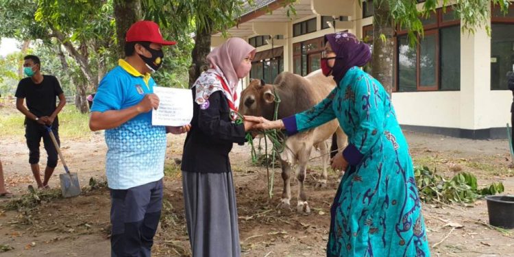 Hari Raya Idul Adha 1441 H, Kwarda DIY Selenggarakan Penyembelihan Hewan Kurban