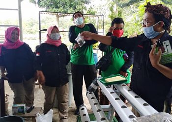 FOTO : Pelatihan Budidaya Tanaman Keluarga Metode Hydroponik Kwarda DIY