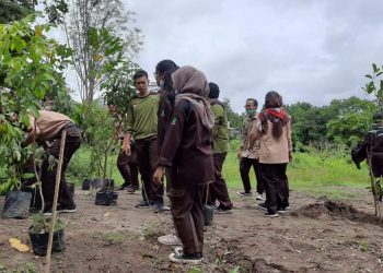 Edukasi Budidaya Tanaman Buah Sebagai Bagian Pemberdayaan Pramuka Di Masa Pandemi COVID-19 Kwarda DIY