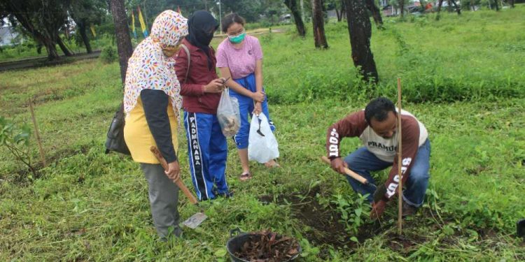 Siswa SMA Negeri 3 Yogyakarta Aktualisasikan Kegiatan Kepramukaan dengan Menanam Bibit Buah di Buper Babarsari