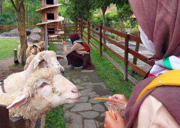 Latihan Krida, Anggota Saka Kalpataru Cabang Sleman Diajak Mengenal Berbagai Macam Flora Fauna di Puri Mataram