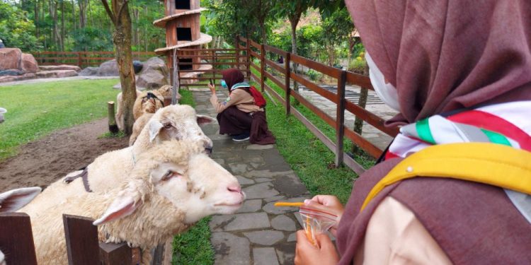 Latihan Krida, Anggota Saka Kalpataru Cabang Sleman Diajak Mengenal Berbagai Macam Flora Fauna di Puri Mataram