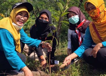 Pramuka SMA Negeri 1 Sleman Peringati Hari Keanekaragaman Hayati dengan Penanaman Pohon