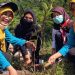 Pramuka SMA Negeri 1 Sleman Peringati Hari Keanekaragaman Hayati dengan Penanaman Pohon