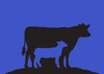 Informasi Pendaftaran Shohibul Qurban 1442 H Kwarda DIY