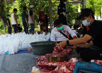 Penyembelihan Hewan Qurban Kwarda DIY Tahun Ini Dilaksanakan pada Hari Tasyrik Terakhir