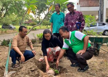 Kak GKR Mangkubumi Tanam Pohon Kelapa di Halaman Kwarda DIY, Tumbuhkan Semangat di Awal Tahun 2023