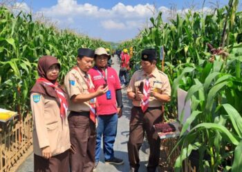 Perwakilan Kwarda DIY Hadiri Gebyar Perbenihan Tingkat Nasional VIII Tahun 2023 di Jogja Agro Park Kulon Progo