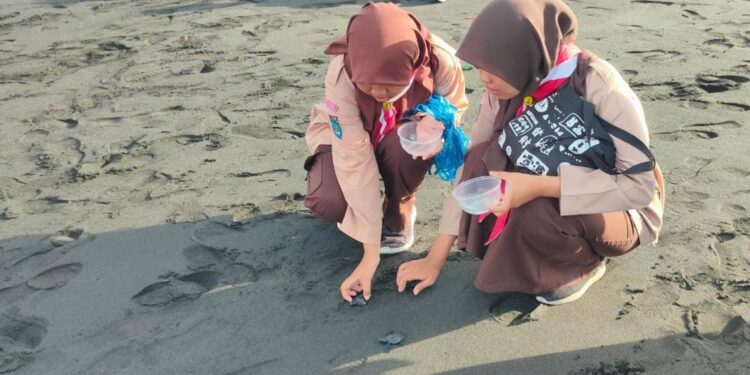 Saka Bahari DIY Rilis Ratusan Tukik di Pantai Bugel