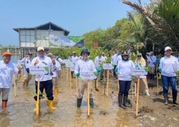 Ketua Kwarda DIY Hadiri BPOM Net Zero Carbon Programme Melalui Inisiatif Penanaman Mangrove di Kulon Progo