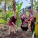 Monev di Kampung Pramuka Sukorojo, Tim Kwarda DIY Tanam Kelapa Genjah Entok di Bantaran Sungai