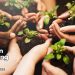 10 Januari adalah One Million Tree Planting Day, Yuk Menanam Pohon !