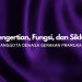 Pengertian, Fungsi, dan Siklus Kesinambungan Anggota Dewasa Gerakan Pramuka