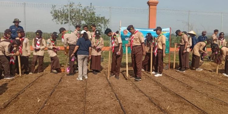 Saka Taruna Bumi Kulon Progo dan Polbangtan Yoma Ikuti Bimtek Penanaman Jagung Pulut di Jogja Agro Park