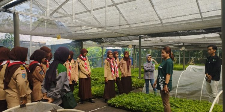 Saka Kalpataru Sleman Latihan Krida Konservasi Keanekaragaman Hayati di Bambu Nusa Verde