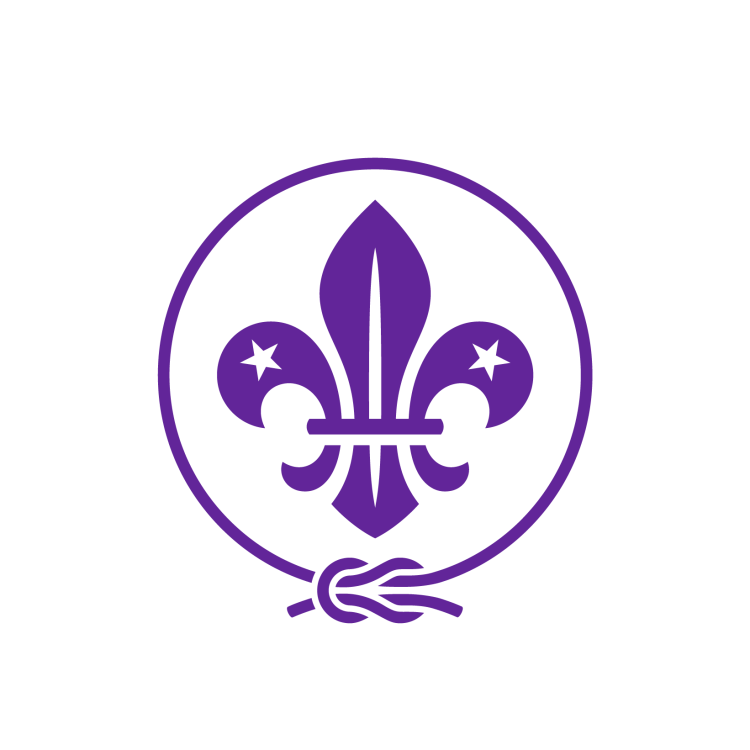 Ini Dia Logo WOSM Terbaru, Serupa Tapi Tak Sama : Slogan Menjadi Ready for Life