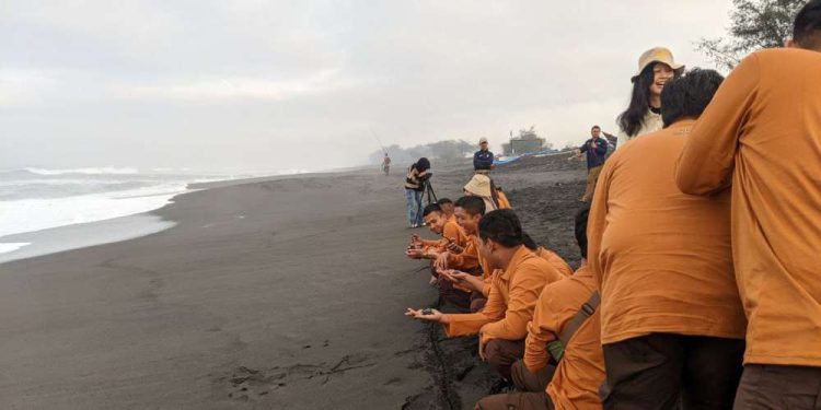 Peserta Kemah Bahari 2024 Belajar Konservasi Penyu dan Rilis Tukik di Pantai Bugel