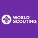 Strategy for Scouting: Exploring the Strategic Priorities for the Movement