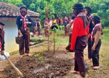 Manfaatkan Lahan Kosong Sekolah, Pramuka SMP Negeri 2 Kalibawang Budidaya Tanaman Organik