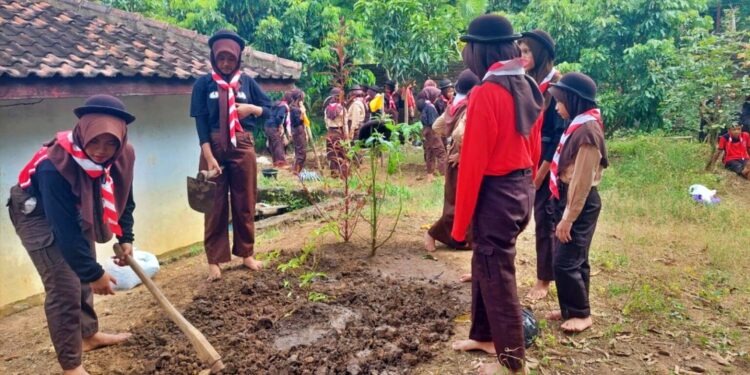 Manfaatkan Lahan Kosong Sekolah, Pramuka SMP Negeri 2 Kalibawang Budidaya Tanaman Organik