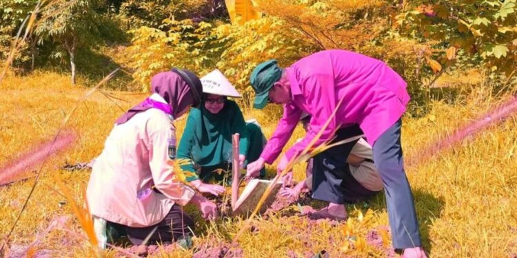 Peringati Hari Bumi 2025, Dewan Ambalan MAN 3 Kulon Progo Semarakkan Penanaman Sejuta Pohon Matoa