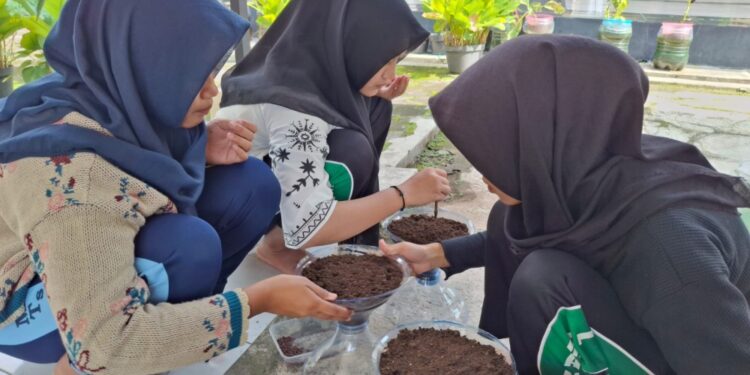 Latihan Rutin, Anggota Saka Taruna Bumi Seyegan Praktik Penyemaian Tanaman Hidroponik