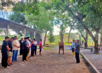 Kwarda DIY Gelar Penyembelihan Hewan Qurban di Hari Raya Idul Adha 1446 H