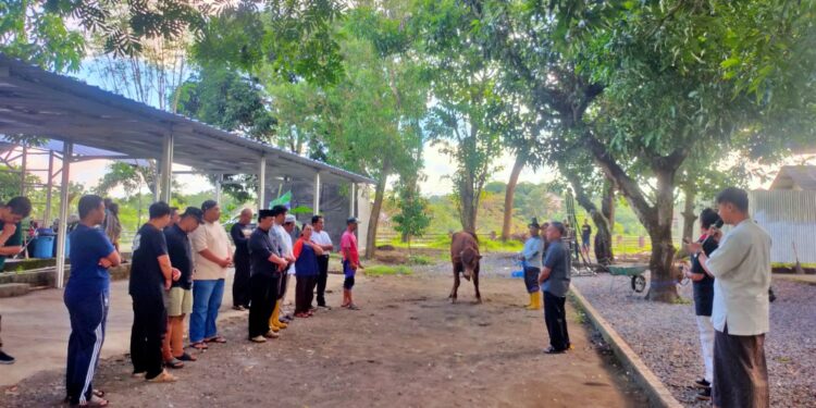 Kwarda DIY Gelar Penyembelihan Hewan Qurban di Hari Raya Idul Adha 1446 H