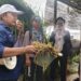 Hari Ketiga Perkemahan Wirakarya DIY 2025: Tour de Jogja Agro Park, Peserta Jelajah Teknologi Pertanian