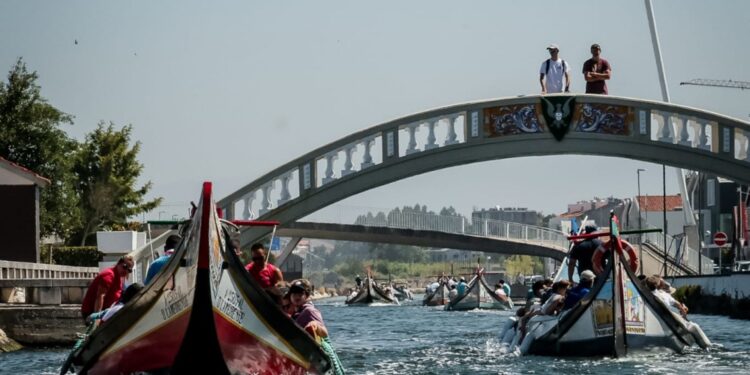 FOTO : Peserta World Scout Moot 2025 Mengenal Budaya dan Tradisi Lokal Portugal