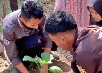 Pramuka Polbangtan Yoma Sosialisasi Penanaman dan Pembagian Bibit di Sempu, Wedomartani