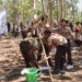 Seru, Ada Giat Prestasi Simpul Ikatan Jerat, Semaphore, dan Bivak di Lomba Penggalang MI se-Gunungkidul