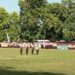 Apel Besar Hari Pramuka ke-64, Kamabida DIY : Dasa Darma bukan Sekadar Janji, Namun Laku Hidup Sehari-hari