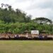 Kalijaga Scout Competition 2025, Ajang Pramuka Penegak Melatih Kedisiplinan dan Pupuk Semangat Sportivitas