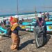 Pramuka DIY Turut Berpartisipasi dalam Gita Laut Tahun 2025 di Pantai Depok