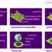 Sudah Tahu JOTA-JOTI 2025 Activity Hub? Simak Informasi Berikut, Biar Kegiatanmu Semakin Menyenangkan
