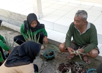 Tingkatkan Kemampuan dan Pengetahuan Krida, Saka Taruna Bumi Seyegan Menanam Daun Bawang